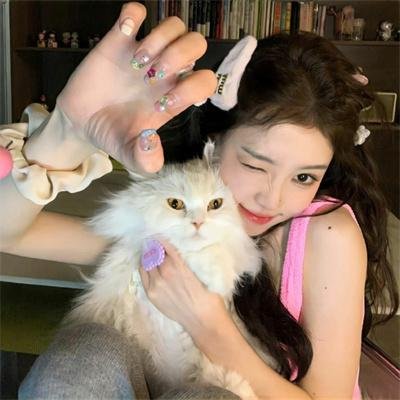 我在岛屿读书 在线观看封面