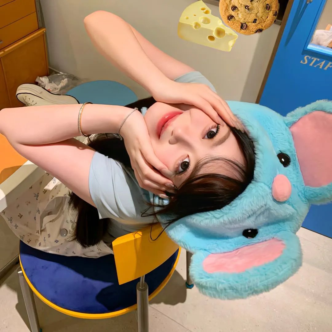 巴亚雅王子 在线观看封面